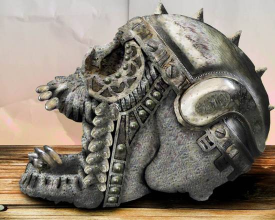 Ancient skull