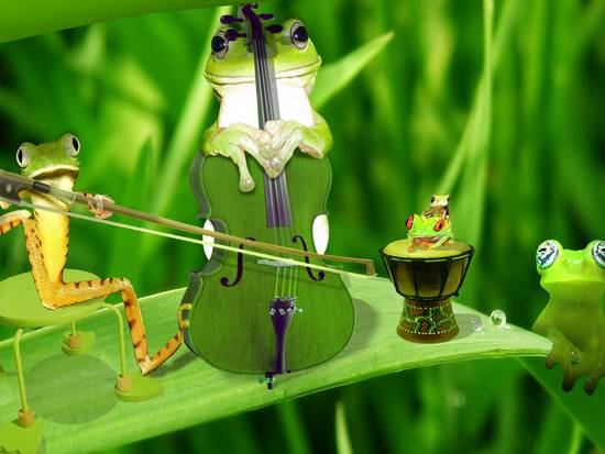 The Frog Band
