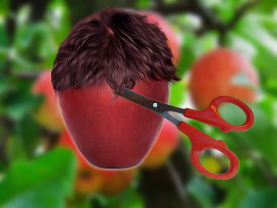 Apple Hair Cutting