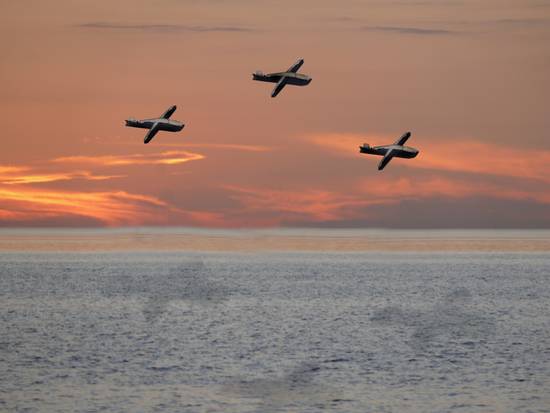 3 Airplanes at Sunset