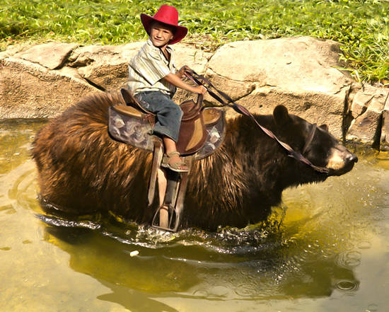 Bear Ride