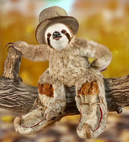 Sharp Dressed Sloth