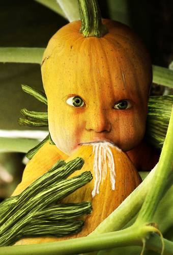 Baby Peter Pumpkin Eater