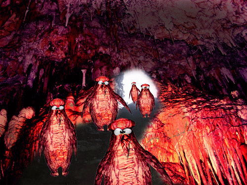 Tipical cave penguinsgif