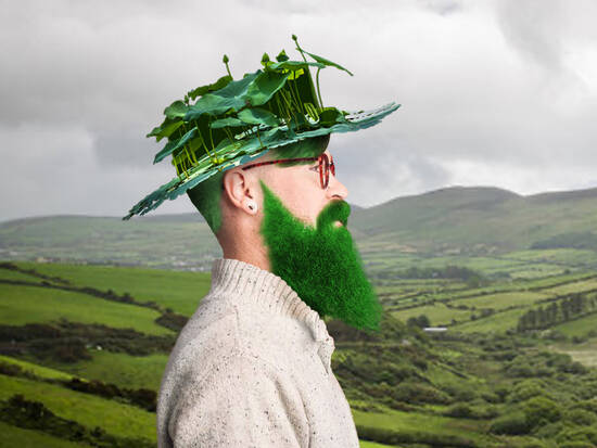 St Patty’s Day 