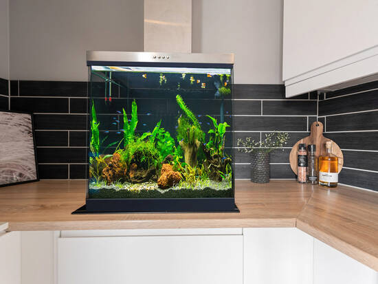 Kitchen with Fish Tank
