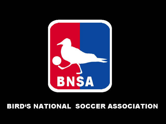 Bird's Soccer Ass.