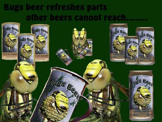 Bugs beer