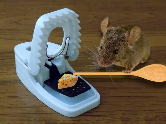 Smart mouse