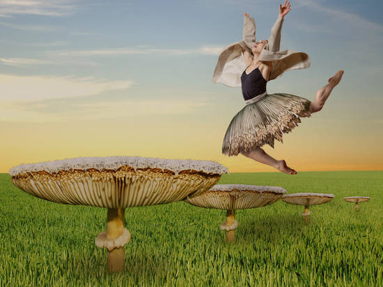 Mushroom dance
