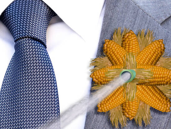 Corny Corsage