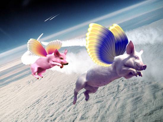 When Pigs  Can Fly !