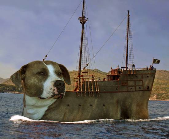 Ye Olde Sea Dog