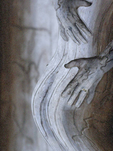 Wood Form
