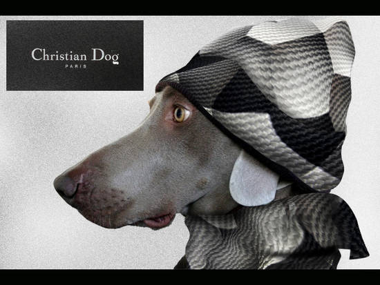 Christian Dog