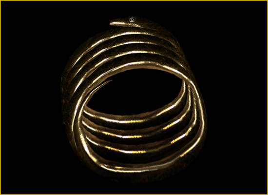 snake ring :)