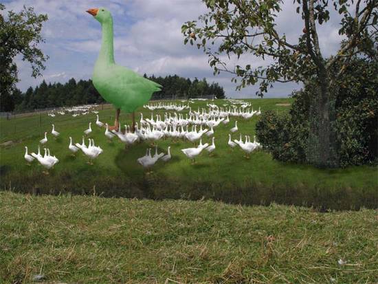Jolly Green Goose