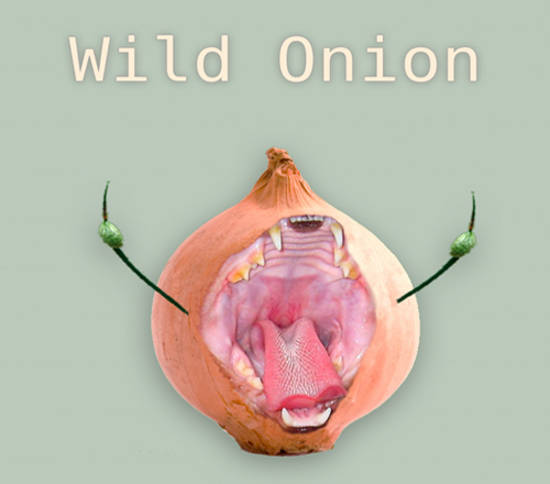 Wild onion