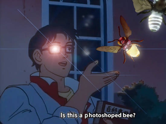 bee likes meme ?