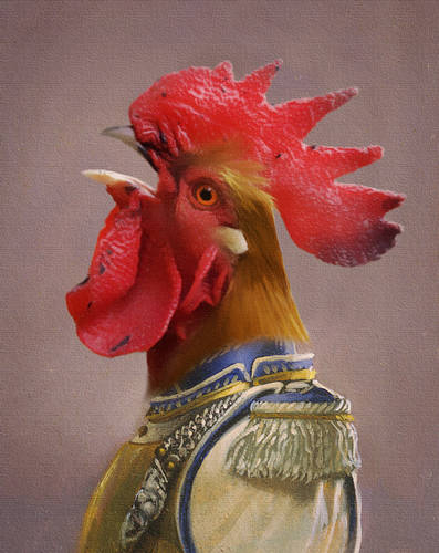 Colonel Rooster