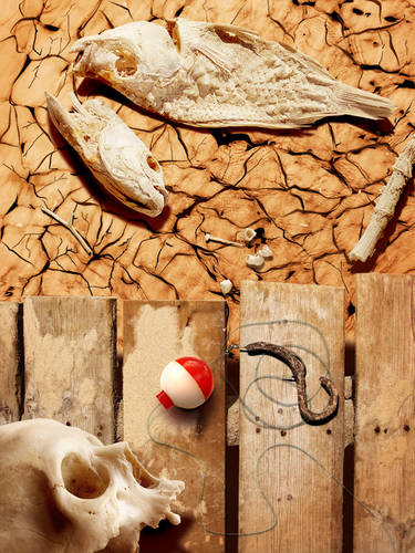 Drought: UPDATED, 34 votes