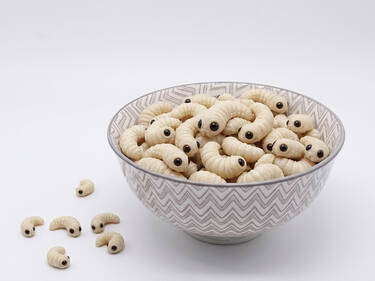 Bon appétit!, 4 votes