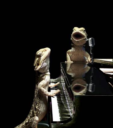 Performers, 62 votes