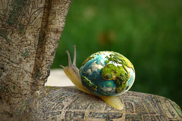 The globe-trotter, 3 votes