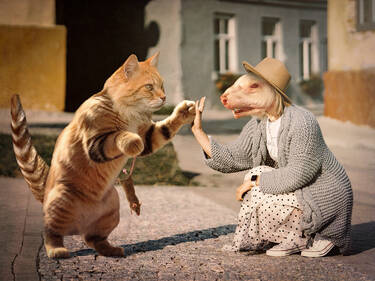 Give me five!, 8 votes