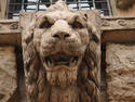 Stone Lion Head