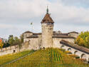 Castle and Vineyard, 3 entries