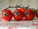 Tomatoes on the Vine