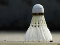 Shuttlecock