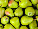 Green Pears, 3 entries