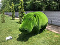 Green Hippo