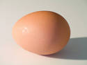 Just An Egg