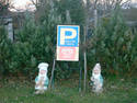 Parking Gnomes