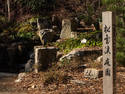 Japanese Signpost
