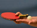 Ping Pong, 11 entries