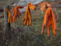 Hanging Orange Gloves