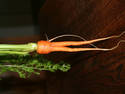 Diverging Carrot