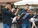 Vilolinists in Demin