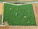 Ultimate Hedge Labyrinth