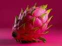 Dragonfruit