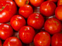 Rich Tomatoes
