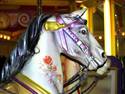 Carousel Horse Head