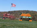 Tractor And Pumpkins