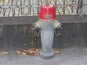 Swiss Hydrant
