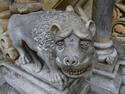 Stone Dog