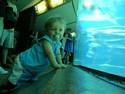 Kid At The Aquarium